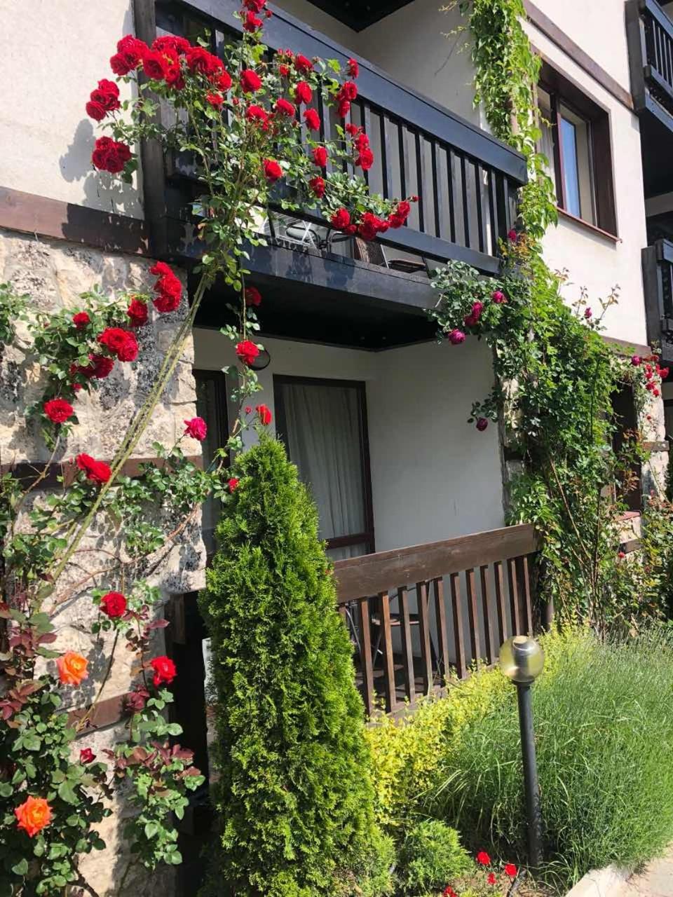 Zara Hotel Bansko Exterior foto